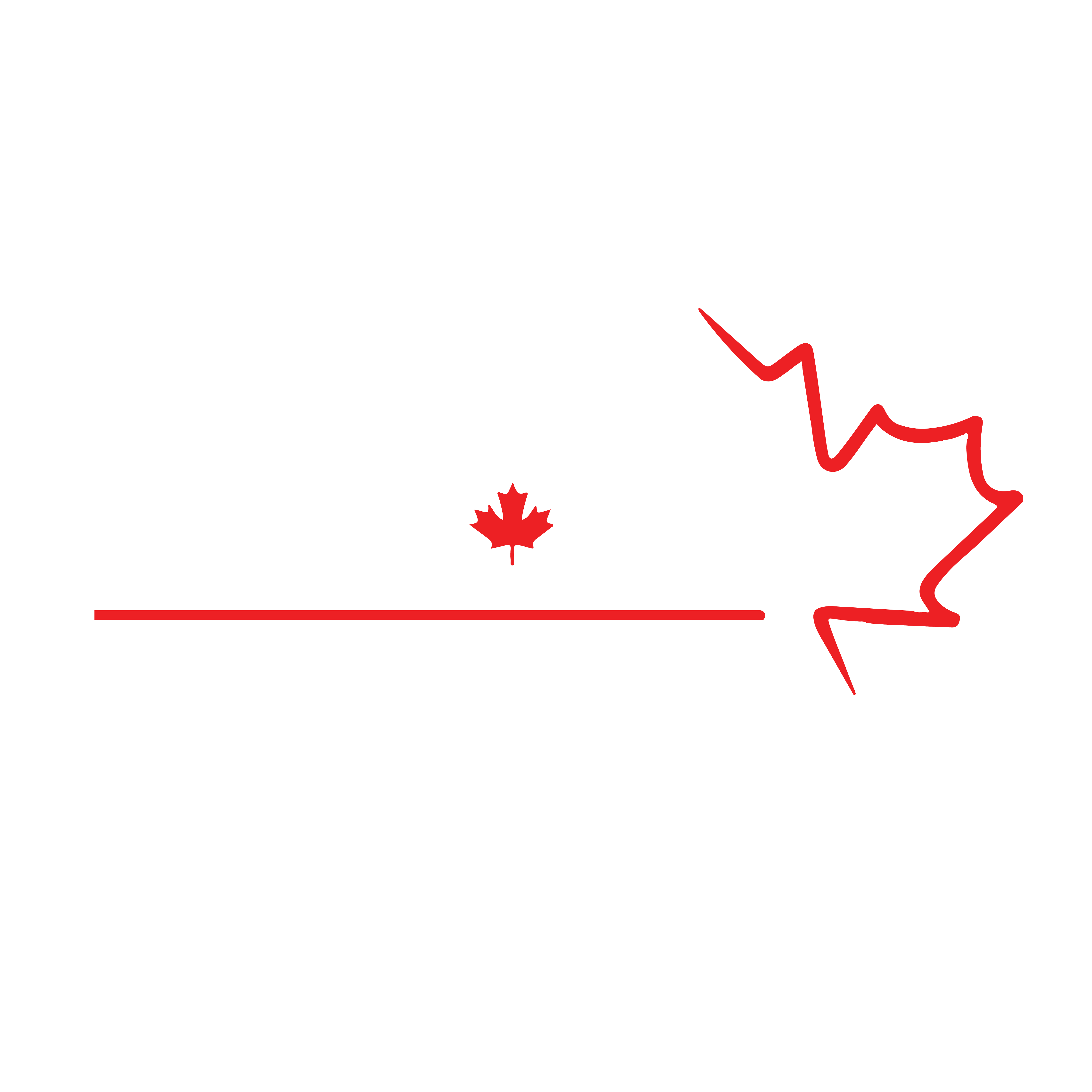 Aracan Hotel And Resorts